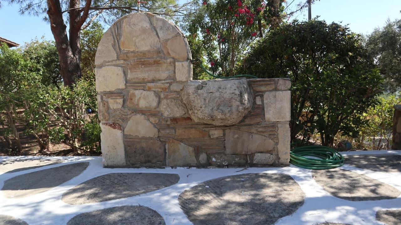 Patronis Studios أمودي المظهر الخارجي الصورة